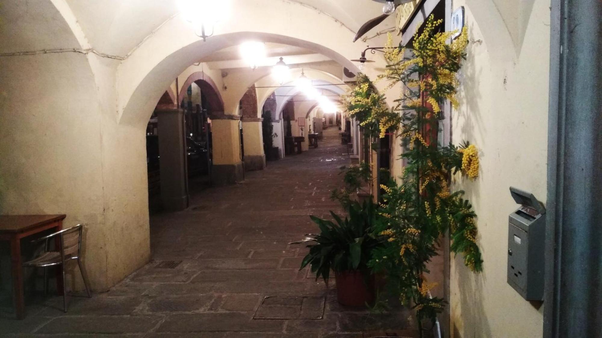 Il Nido Nel Chianti Διαμέρισμα Greve in Chianti Εξωτερικό φωτογραφία